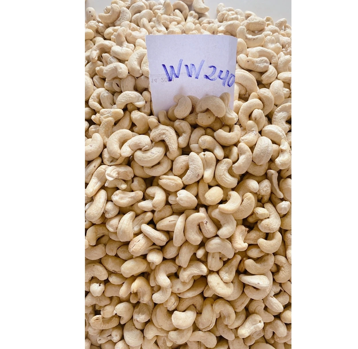 Premium quality cashewnut COMMON cashew nuts w240 nuts packaging box cashew nuts roasted
