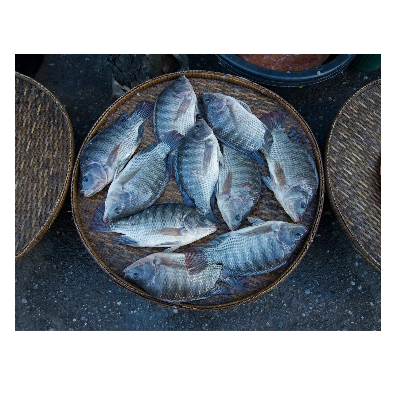 Цельная круглая замороженная черная Тилапия экзопт рыбы по конкурентоспособной цене, размер 300-500 грамм-Pc