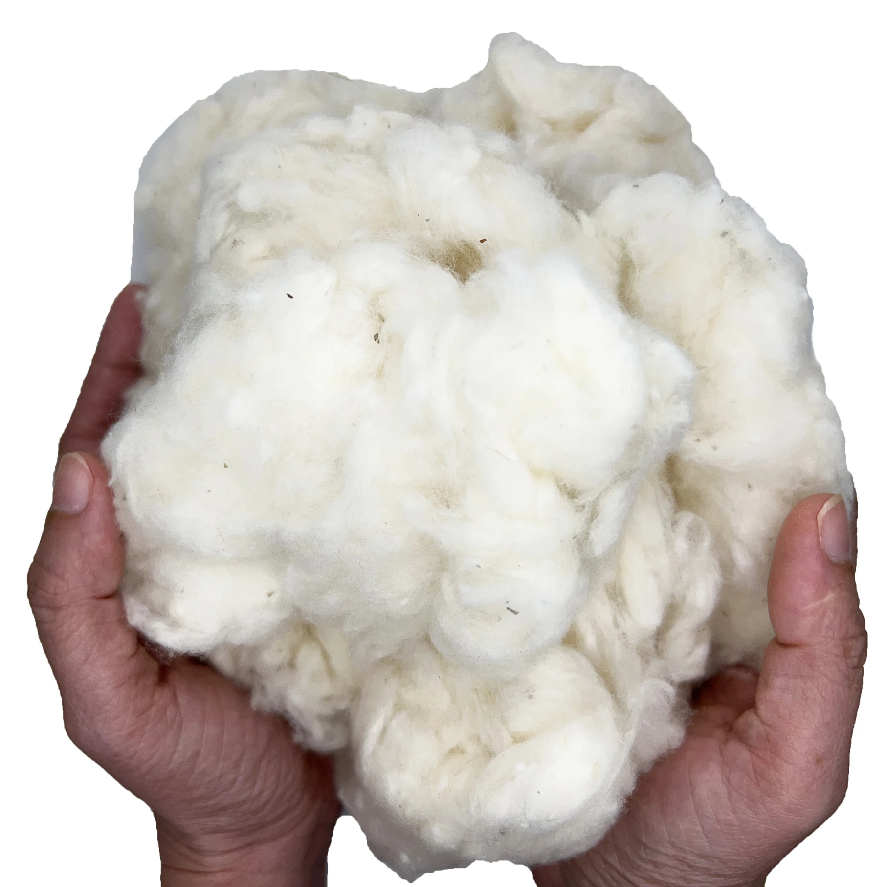 Raw Cotton Fiber for Spinning Textiles