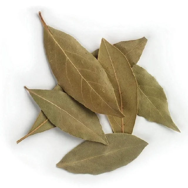 Organic Bay Leaf Dried Organic Wholesale Hot Wholesale Hot Food Seasoning Whole Single
