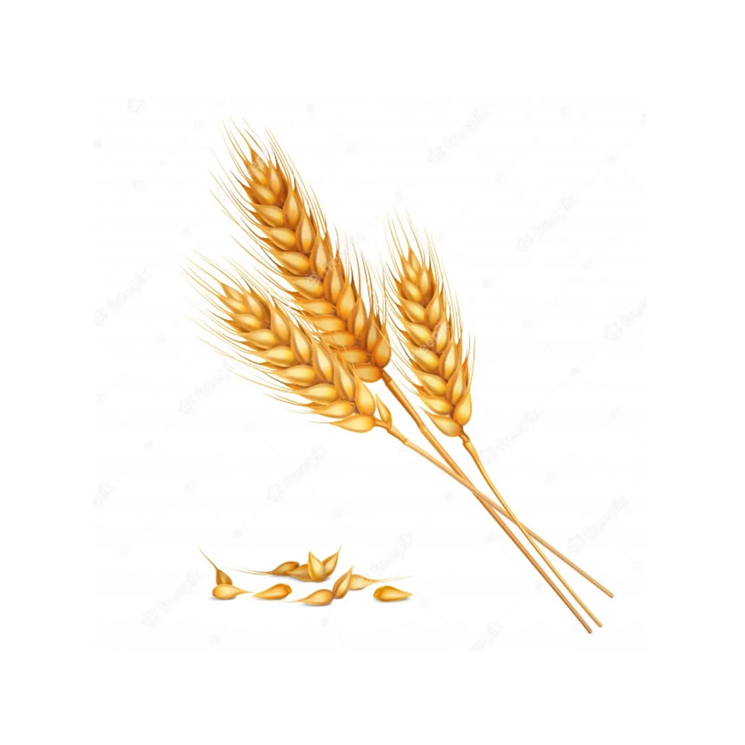 Измельчитель пшеницы без ГМО