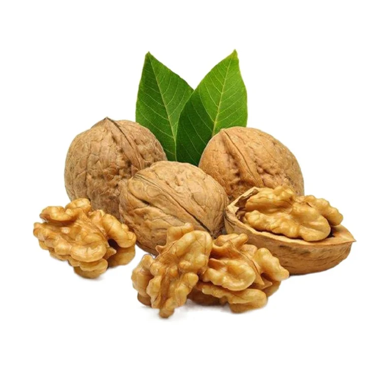 Walnut specialty nuts dried fruit delicious thin skin wallnut