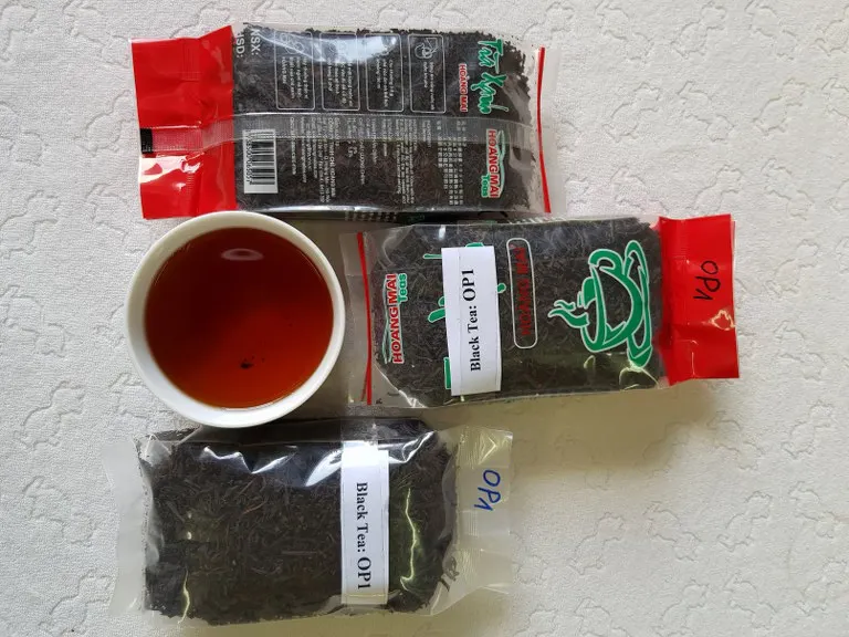 OP Black Tea / Camellia sinensis