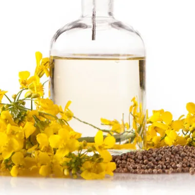 Ukraine Rapeseed Oil Unique Premium Bulk Canola Oil Prices and Canola Oil Wholesale