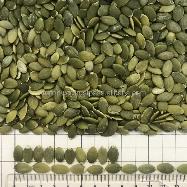 
Roasted Pumpkin Seeds Kernel shine skin AA & AAA Premium Grade 