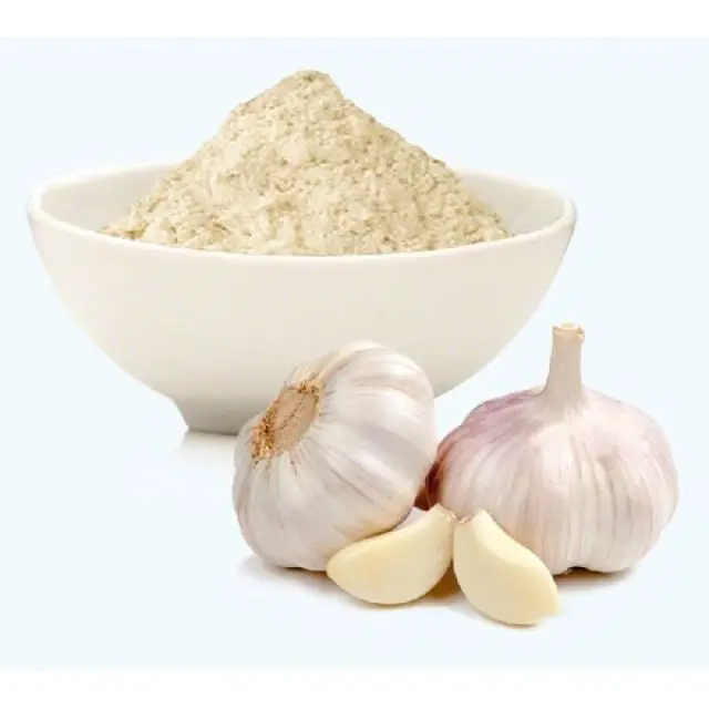 Premium Quality garlic powder processing for prevent cancer  from India