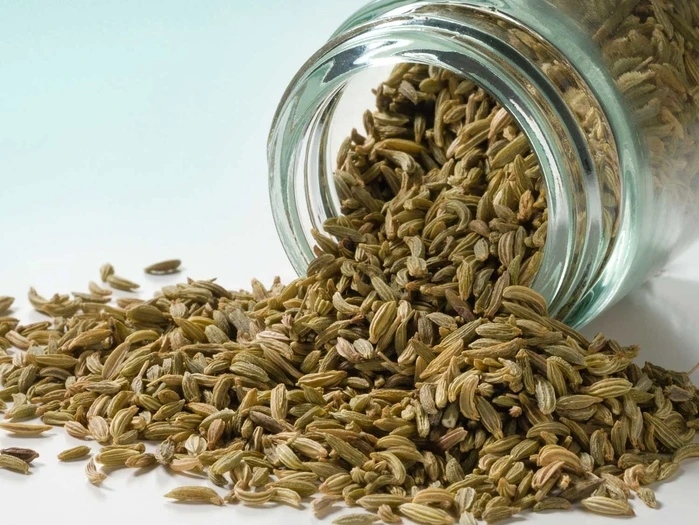 Organic dried herbs FENNEL SEEDS dehydrated herb spice seasoning condiment Made in Italy