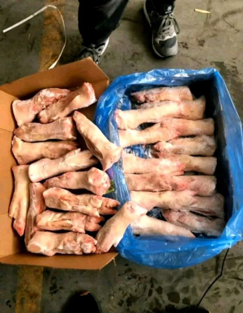 Frozen pork feet meat and all other body parts for sale