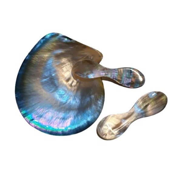 New Upgrade Design Caviar spoon made of black Mother of pearl shell spoon serving caviar dinner spoon from Vietnam