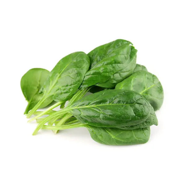 Selling Spinach from Canada