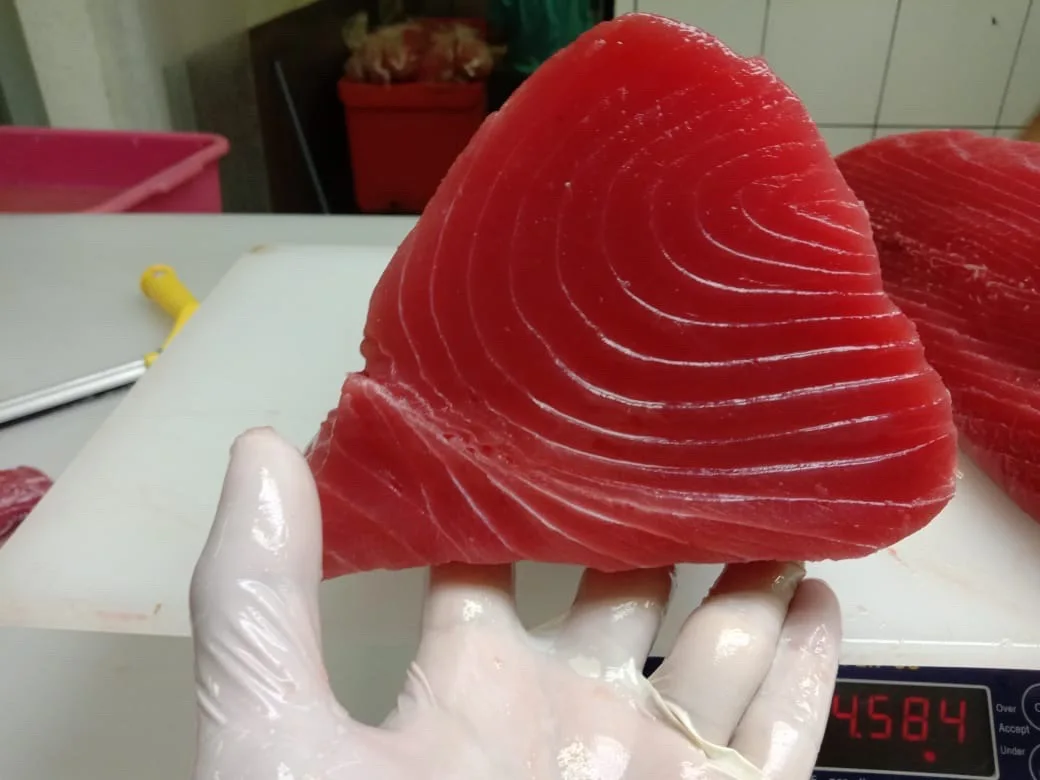 Лучшая цена лечение замороженным тунцем (Loins/ Saku/ Steak/ Cube / Strip ) Thunnus Albacares