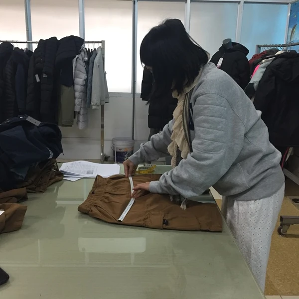 Сторонняя инспекционная Компания Softline во Вьетнаме, тайская Lan Камбоджа, Малайзия, Индонезия и Индия