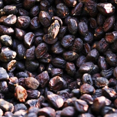 High quality michelia citrata for delicious dish - Whatsapp: +84-845-639-639