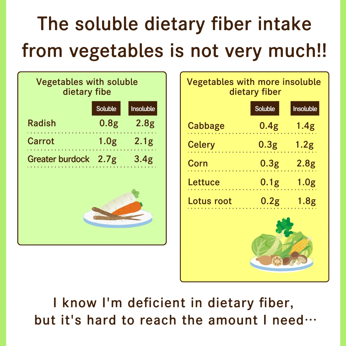 High purity Dissolves in water easily Inulin Natural dietary fiber derived from chicory produced Food fiber