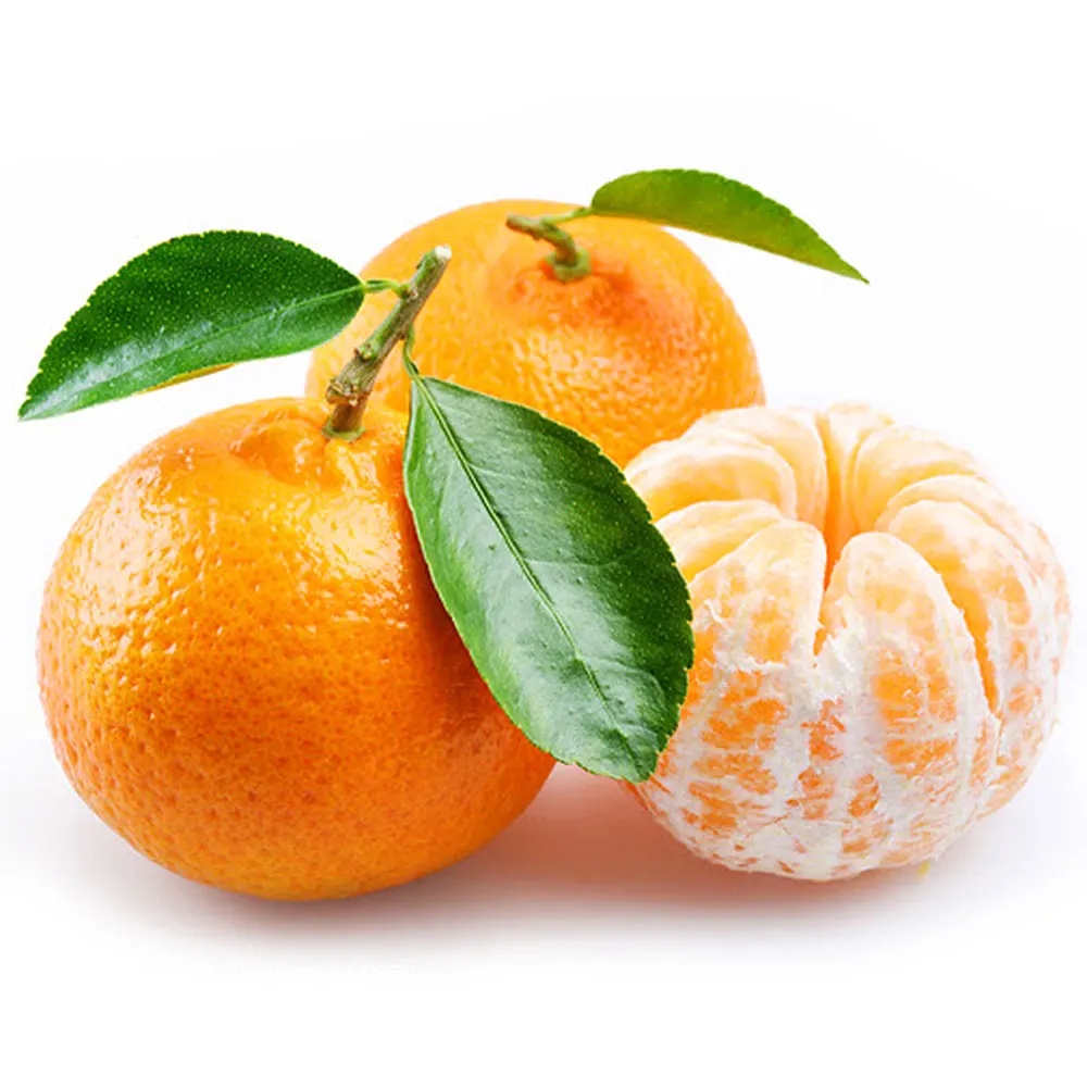 Fresh Mandarin Orange from Pakistan | Factory Direct Sale Good Quality Mandarin Orange