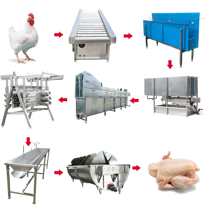 800bph production line factory price for забоя birds and chicks