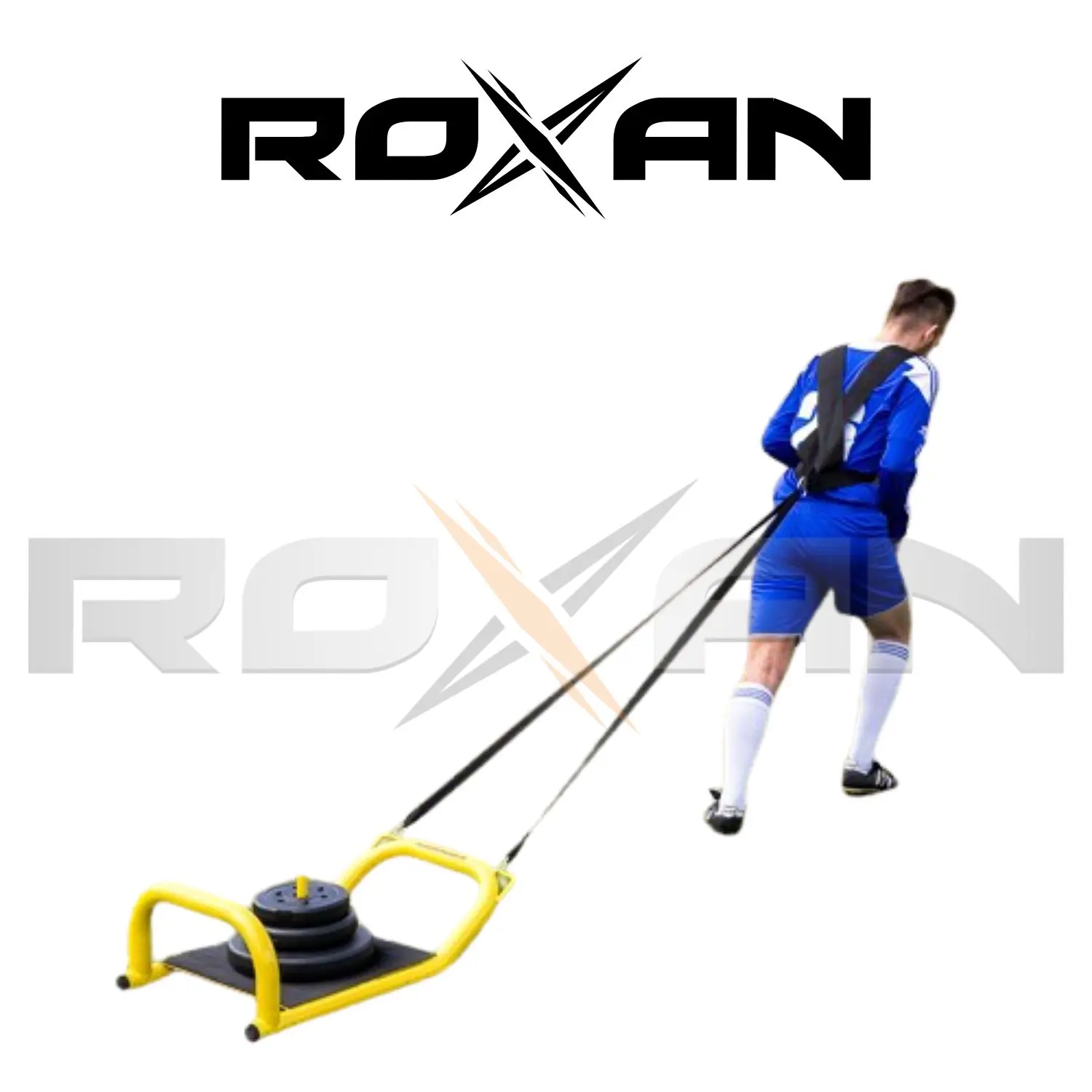  Полностью тяжелые качественные силовые тренировочные сани для тренировочного оборудования собак