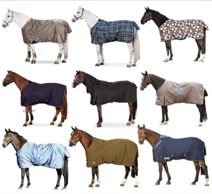  Лошадиный коврик