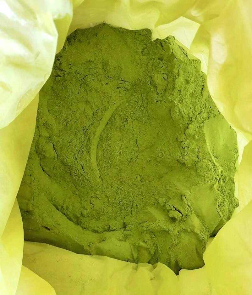 High Quality Freeze-Dried Celery Leaf Powder for Health and Beauty Care Liquid Form Cheap Price from Vietnam Manufacturer