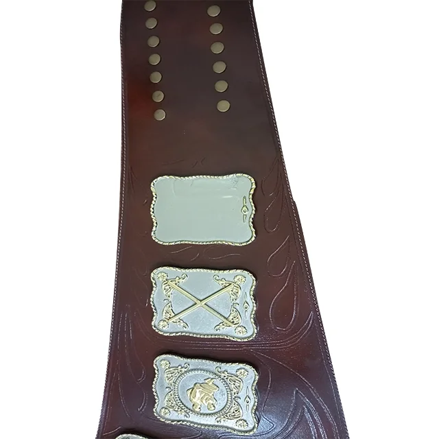 Custom  Manufacturer Stampede Wrestling International Tag Team Championship Belt