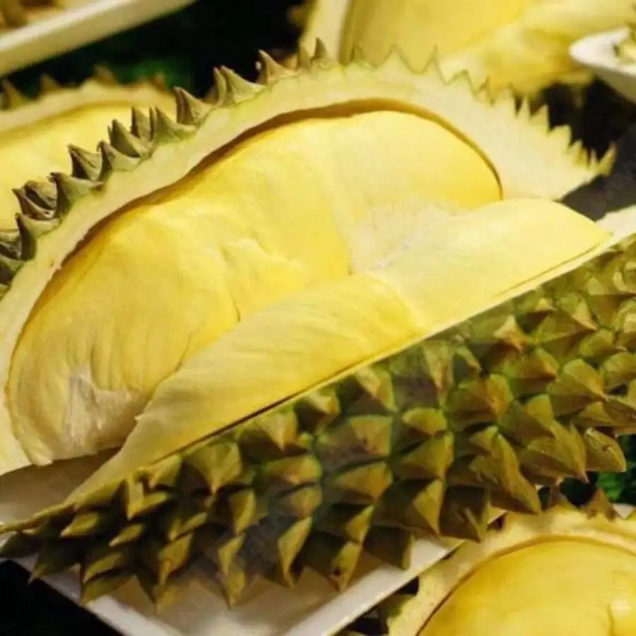 
Durians Fresh Fruit with High Quality 