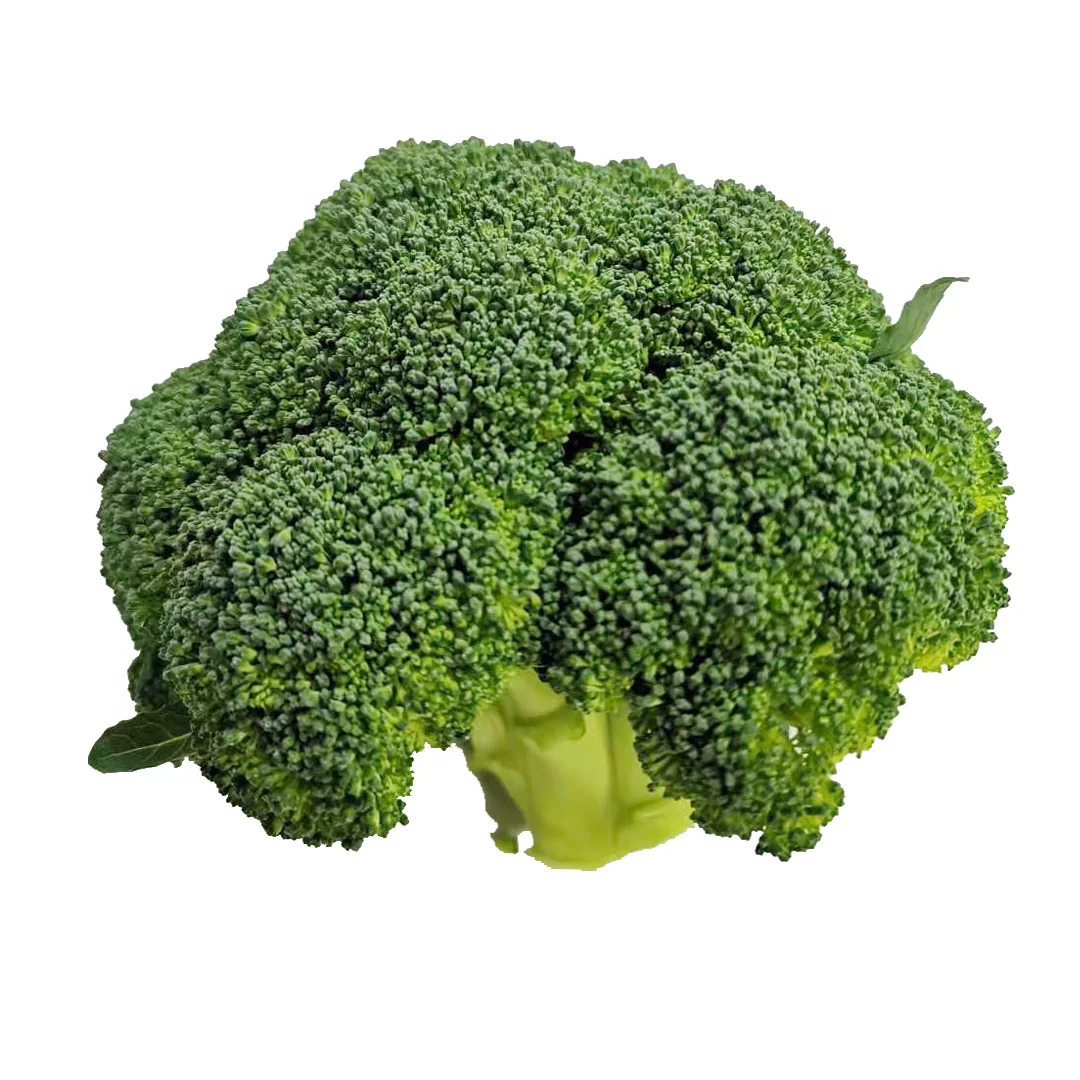 Frozen Broccoli with high quality and best price