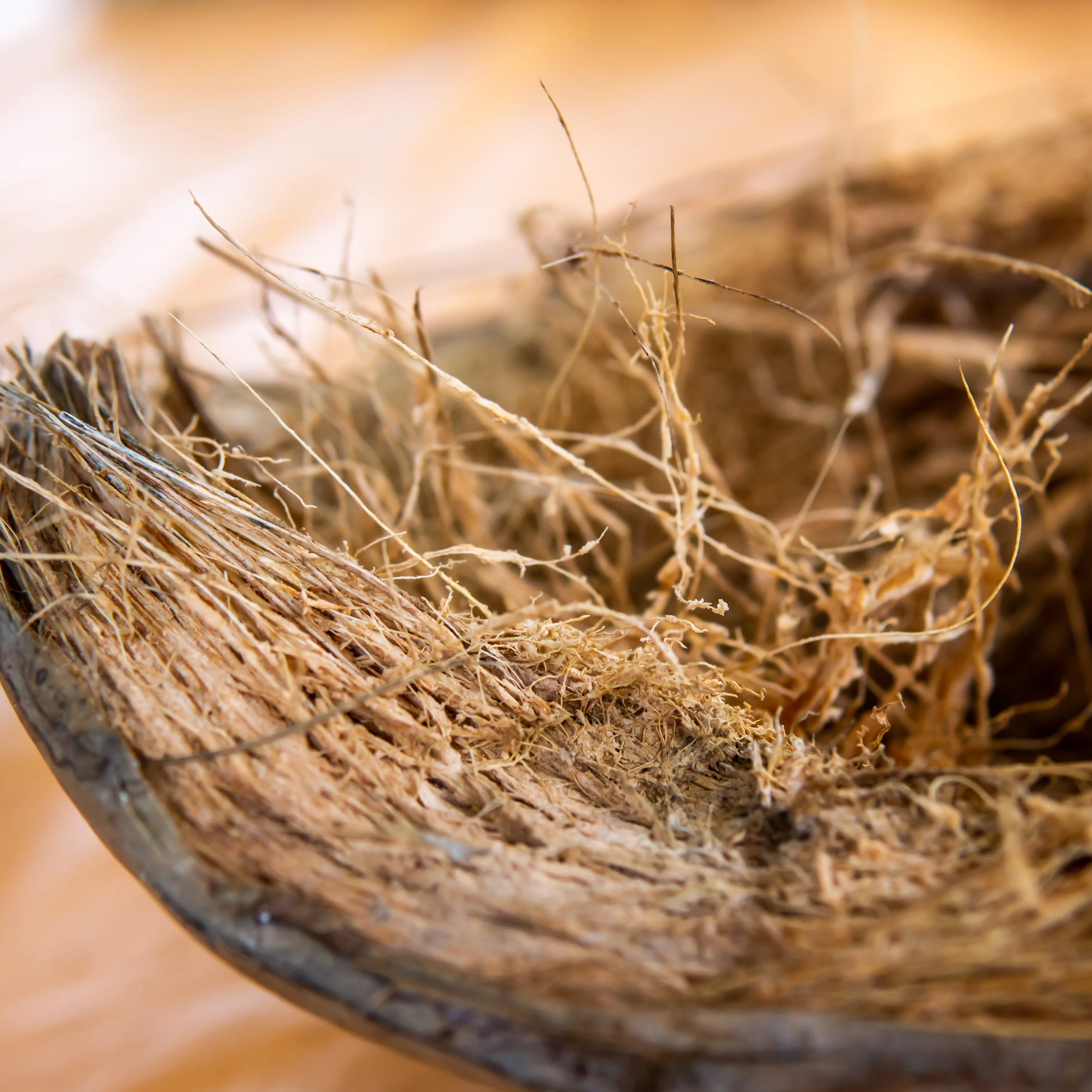 Coco Fiber Supplier - Coco Fiber Manufacturer Indonesia Natural Coco Fiber Best Growing Media Indonesia Cocopeat