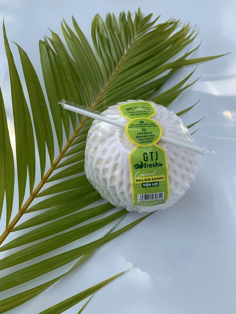 100% Fresh 4 Weeks Usage Green Convenient Diamond Cut Shape For Drink From Mekong Delta Vietnam Coconut Fruit