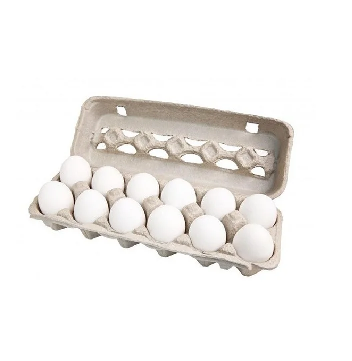 Best Quality White Chicken Egg For Sale In Cheap Price