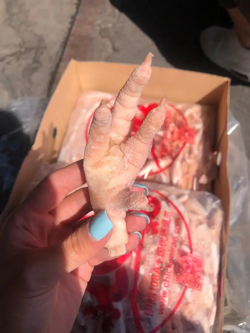 
Chicken feet chicken frozen chicken paw with the best price 2021 