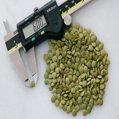 green lentils 6mm.jpg