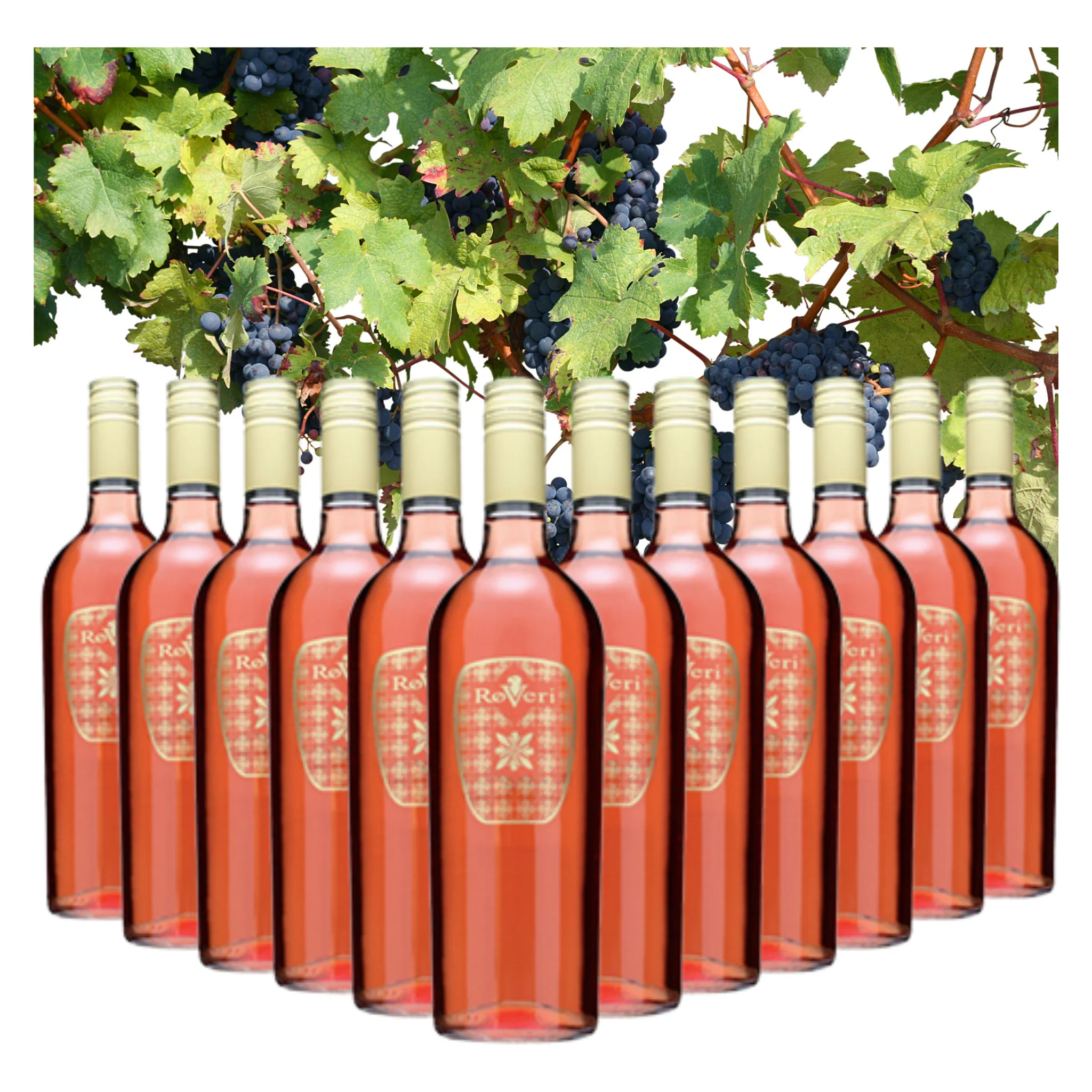 Винные бутылки в итальянском стиле розы, 750 мл, для продажи, спиртовое вино 13%, Прямая поставка на экспорт