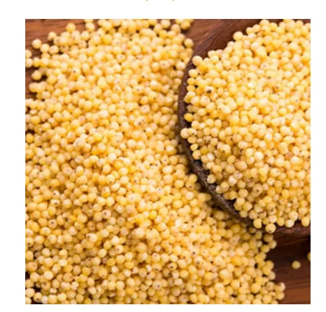 2020 new harvest Gu sui Best price red/yellow millet sprays bird seed