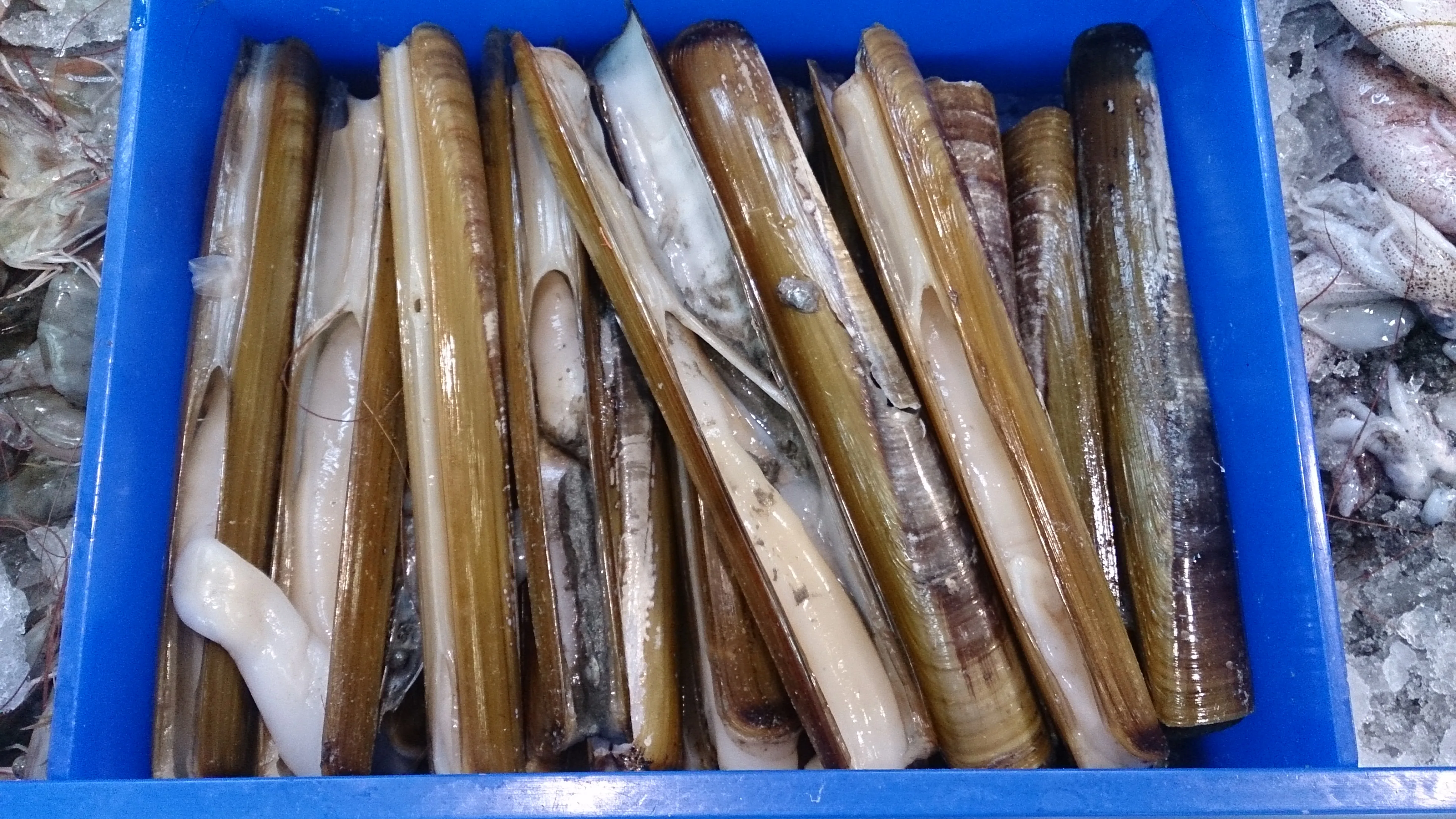 
Competitive Price Delicious IQF Frozen Razor Clam 