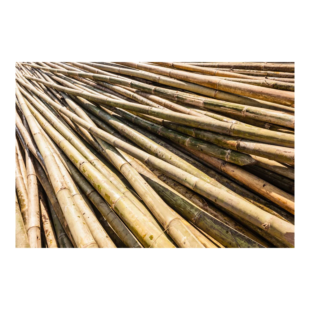 Прочные и универсальные бамбуковые трости палочки