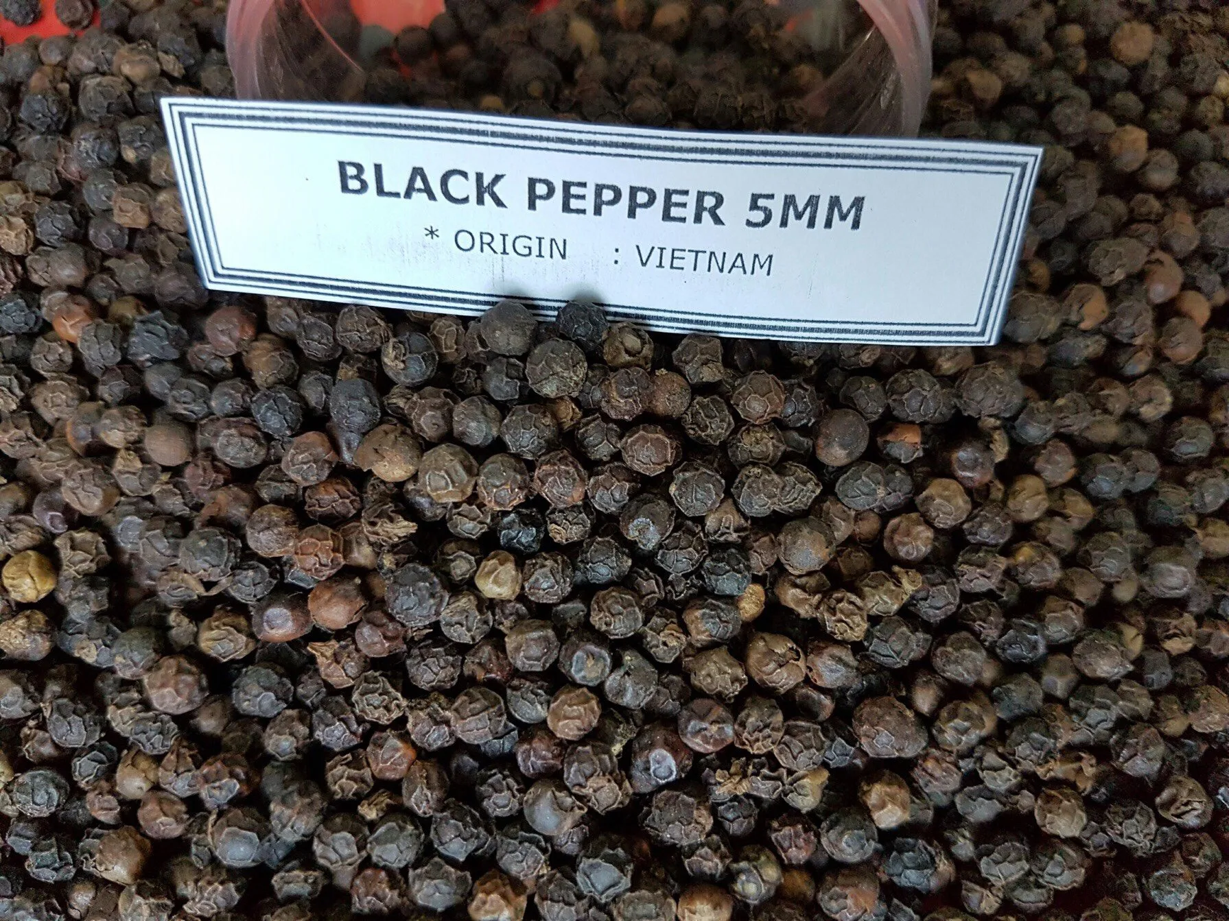 BLACK PEPPER FROM VIETNAM. WHATSAPP +84976727907 Ms CAROLINE