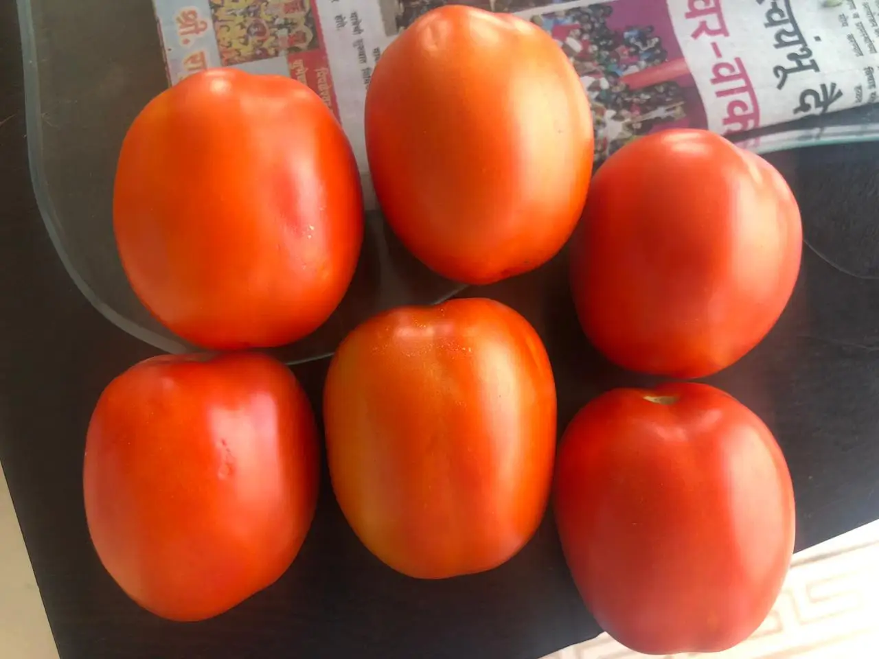  Оптовая цена на семена томатов Камерун