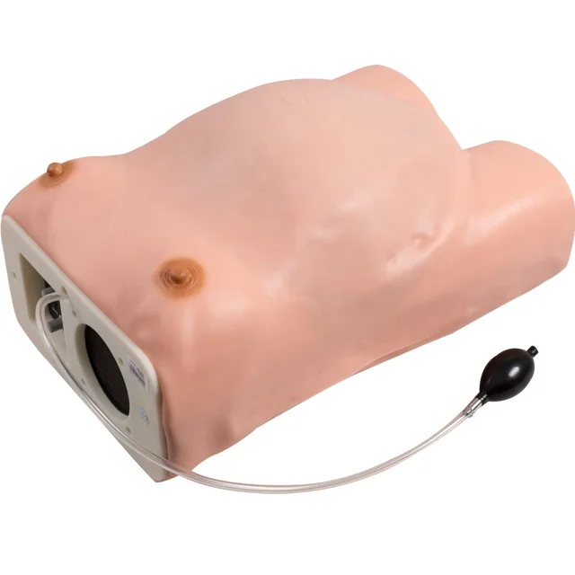 GD/FW2 General Doctor Medical Science Maternity Examination Simulator