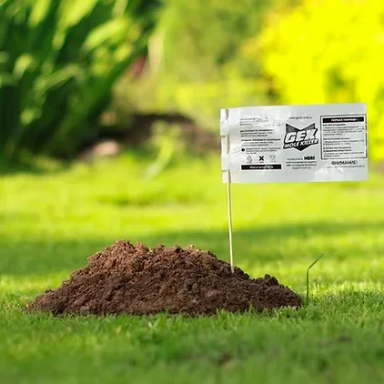 Bait effective remedy for moles with real earthworm extract wholesale price, pest control traps trap