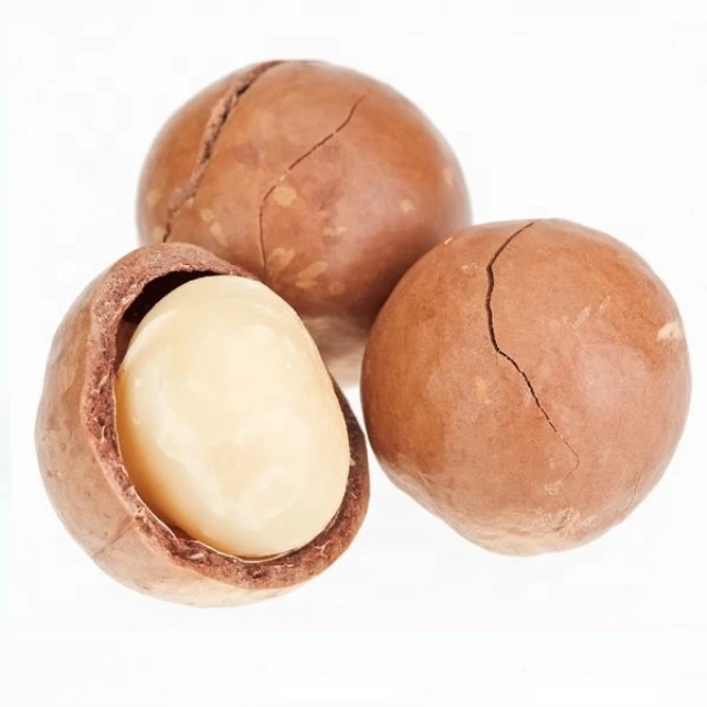 Wholesale Best Price Dried Ginkgo Nuts For Sale