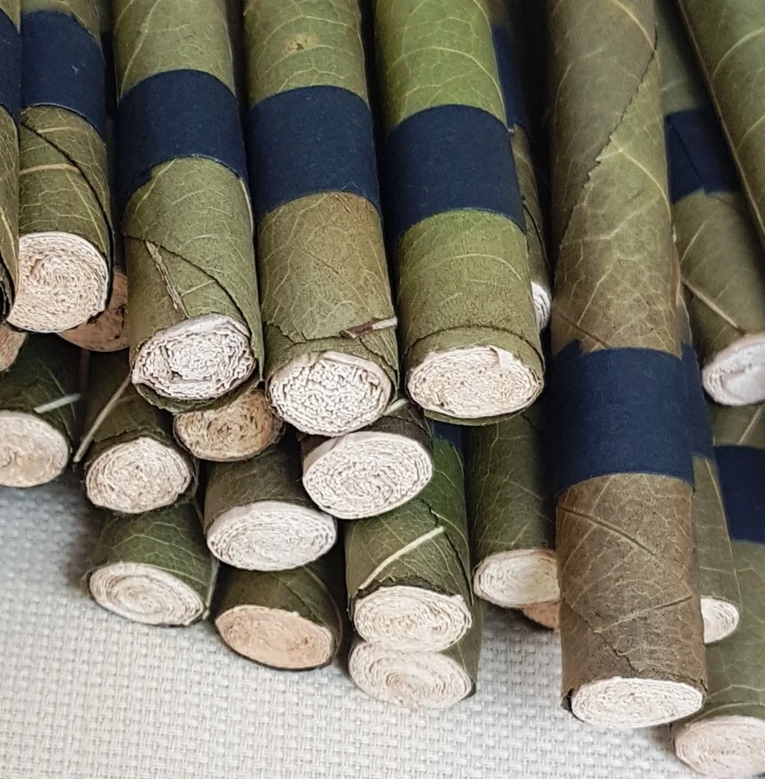 Cornhusk filter tips in Cordia Leaf Rolls.jpg