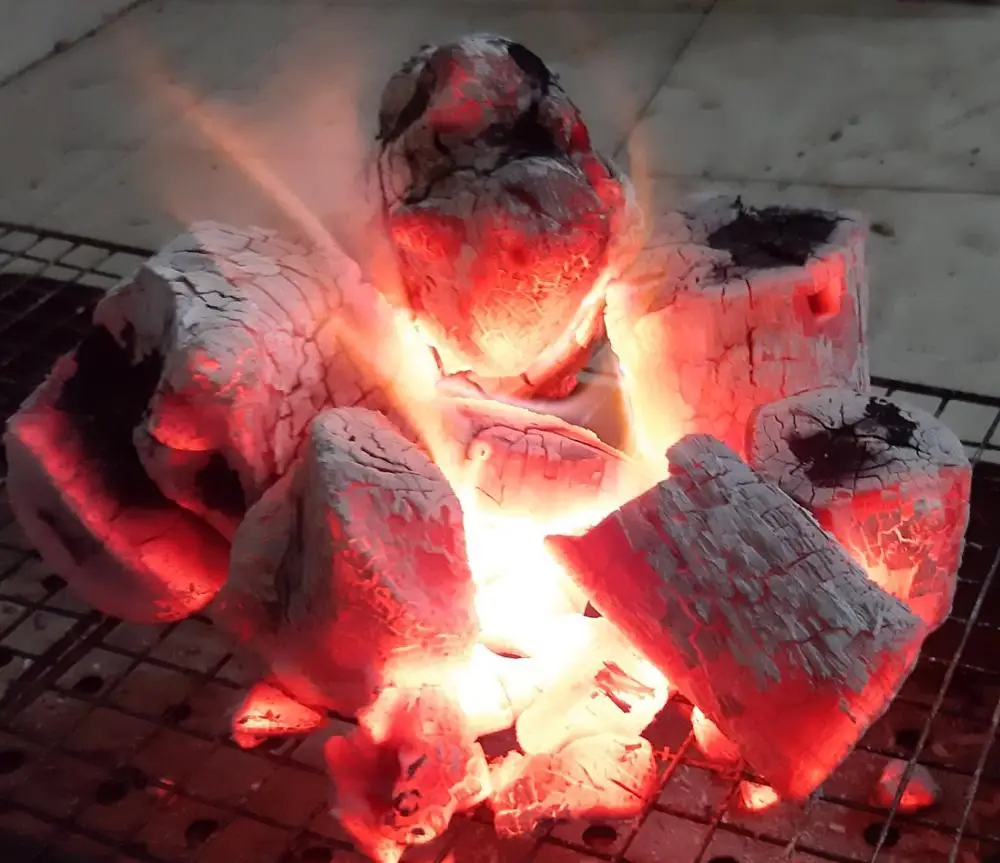 Mangrove, oak and Pine hardwood charcoal, lemon and orange tree hardwood charcoal from Vietnam for whole sale