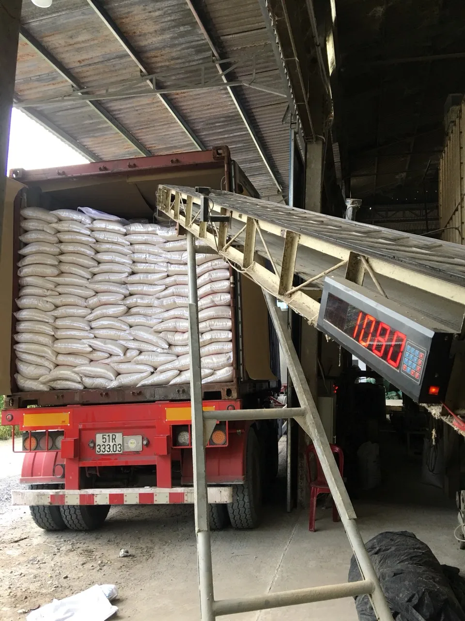 Египетский рис среднего зерна оптовая продажа Лучшая цена за тонну (Мобильный/WA: + 84986778999 David Director)