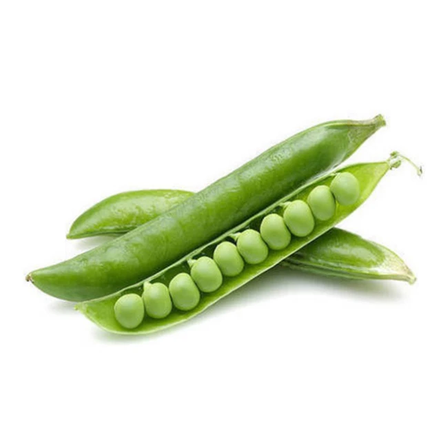  Оптовая продажа высококачественный консервированный зеленый горох