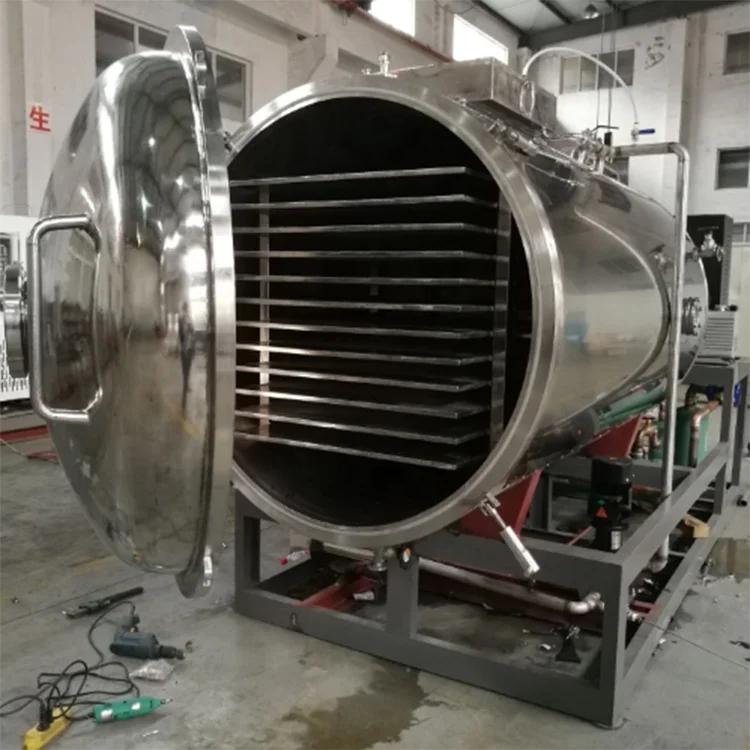 
High Quality Lyophilizer Machine Freeze Dryer for Sale 