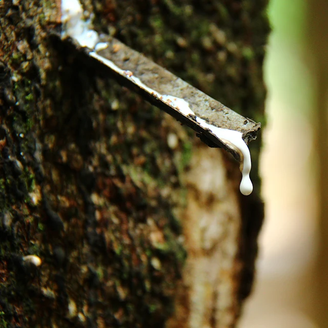 Резиновый латекс высокого качества HA 60% ДРК с высоким содержанием аммиака