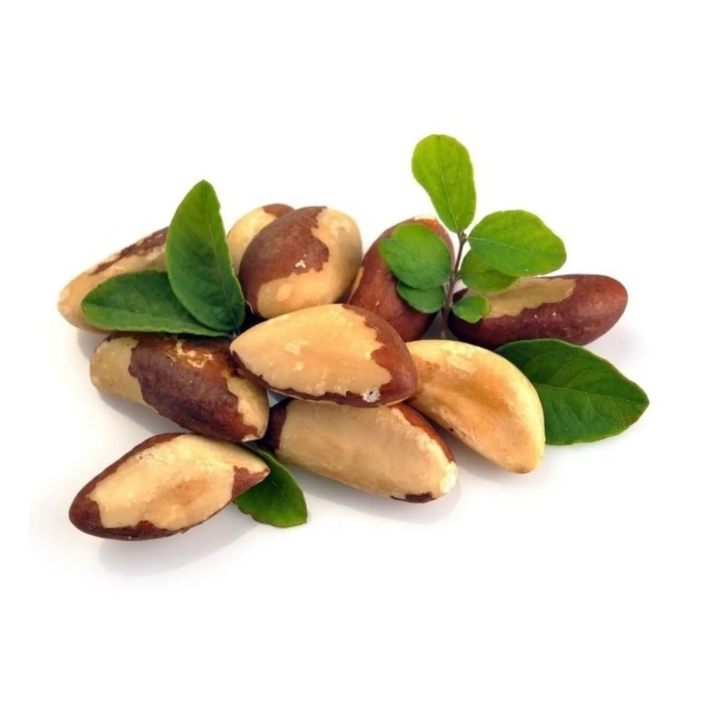 100% Pure Natural High Quality Brazil Nuts Wholesale Agricultural Brazil Nuts