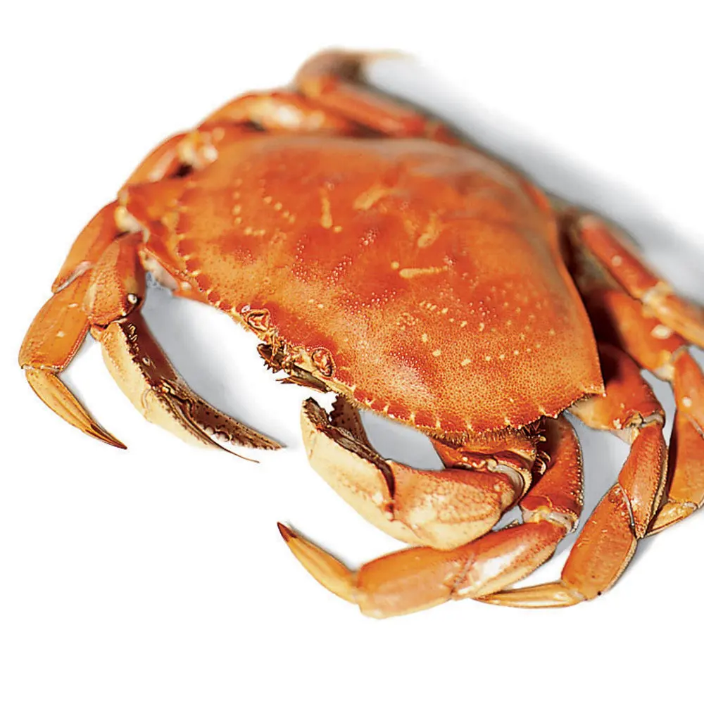 Soft Shell Blue Crabs