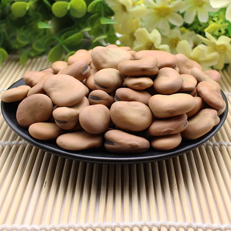 Wholesale High-quality nutrient-rich Dried fava beans / GK38 100% Natural Newest Crop Fava bean made in Viet Nam
