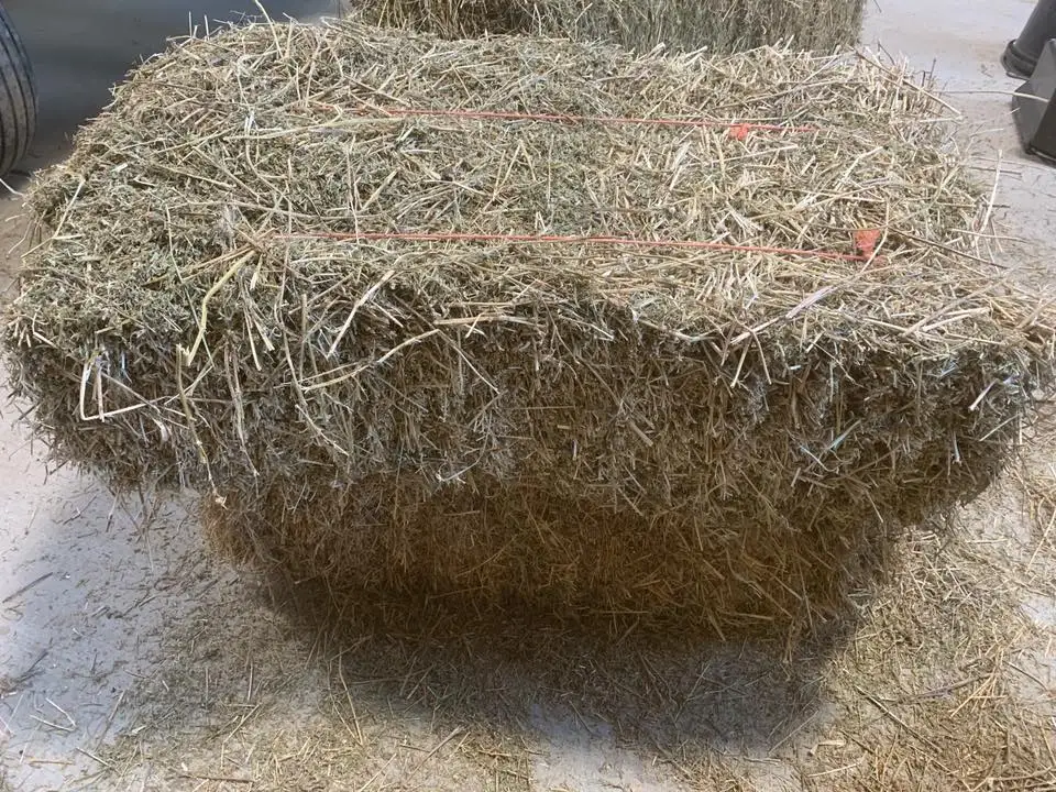 Top Quality  Timothy / Alfalfa HAY FOR SALE